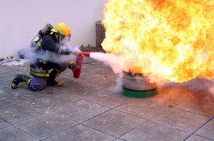Proença-a-Nova : CDOS realiza  simulacro de incêndio
